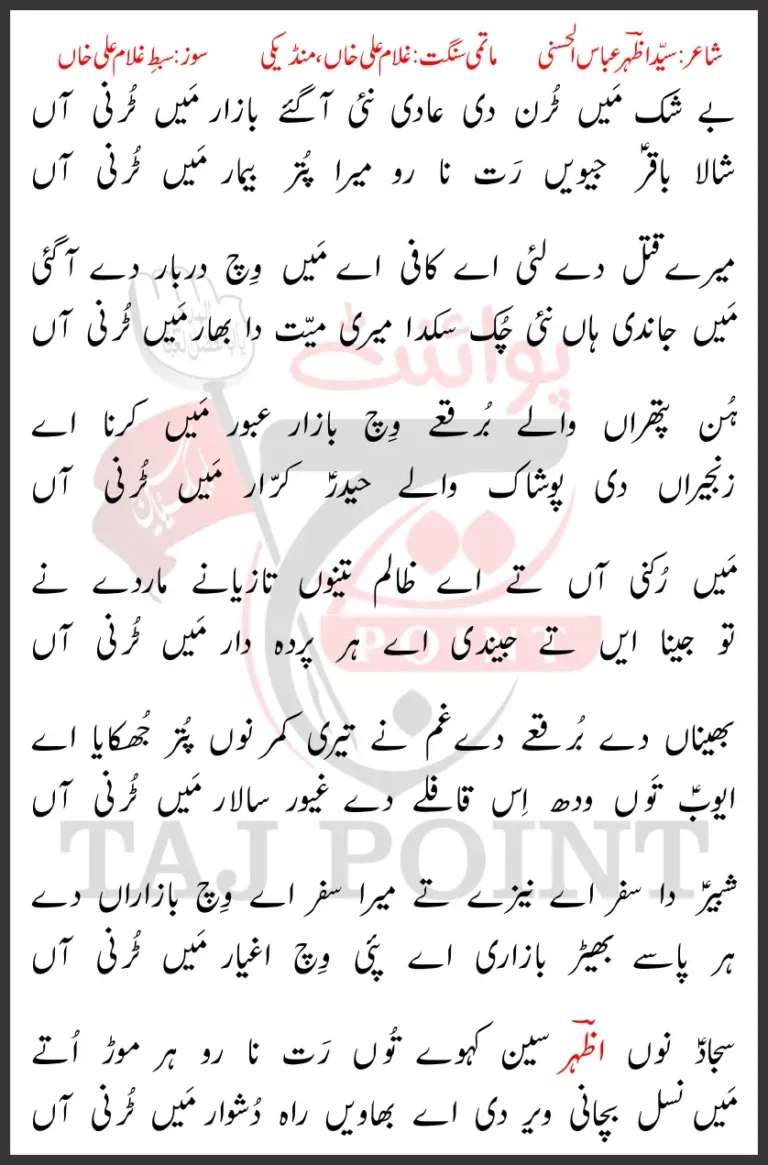 Beshaq Main Turan Di Aadi Nayi Aa Gaye Bazar Main Turni Aan New Lyrics 2024