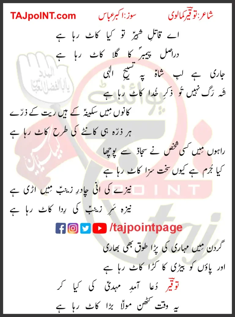 Aye Qatil e Shabbir Tu Kya Kaat Raha Hai Lyrics Urdu 2010