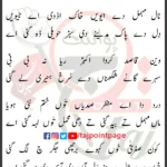 Akbar Tur Gaya Aye Sughra Rondi Reh Gayi Aye Lyrics Punjabi 2025