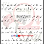 Dhal Gayi Aye Sham Akbar Kyun Bhain Nu Lain Nayi Aaya Lyrics Punjabi 2025