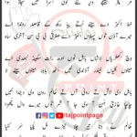 Munh Kar Ke Najaf Te Yasrab Wal Ro Wain Kare Zainab Dukhya Lyrics Punjabi 2025