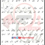 Sada Shabir Denda Si Rida Teri Rida Zainab Lyrics Punjabi 2025