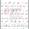 Zainab Ko Chehra Baba Ka Abbas Dikhao Lyrics New Noha Parveiz Asghar Khan Party Sialkot 24 Ramzan 1447 Hijri