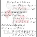 Meri Turbat Par Aye Baba Aa Nahi Sakta Koi Lyrics Urdu New Noha 8 Shawal 2026