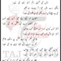Akbar De Naal Lasha Zainab Da Cha Nayi Sakda Lyrics Punjabi 2026 Parveiz Asghar Khan Party Sialkot