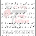 Janaze Par Hasan Ke Jo Jafa Ke Teer Aaein Gaye 28 Safar 2026 Babu Khan Party Sialkot