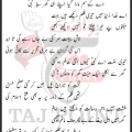 Kya Yehi Islam Tha Phaila Howa Bad e Nabi Lyrics In Urdu 2026