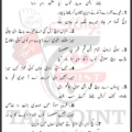 Jaan Lay Jaway Ga Meri Aye Wichora Veer Raza Lyrics In Punjabi 2026