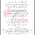 Zainab Se Pehle Zahra Darbar Mein Gayi Lyrics In Urdu 2007